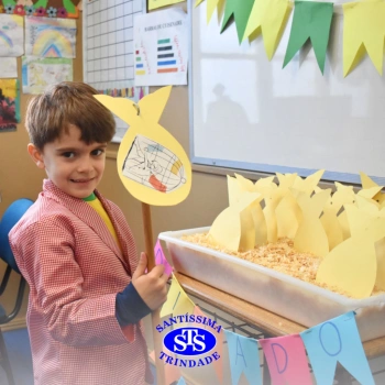 Atividades no 1º ano 