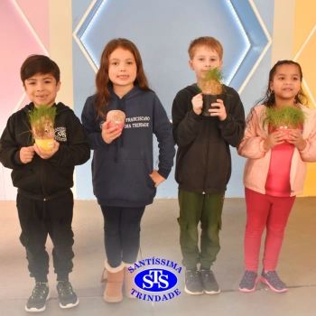 Atividades no 1º ano 
