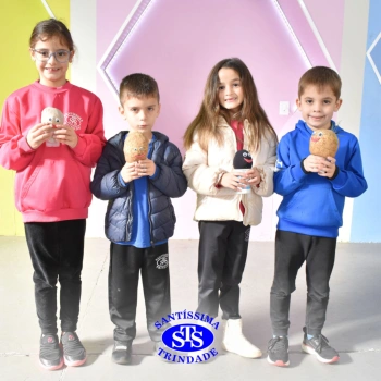 Atividades no 1º ano 