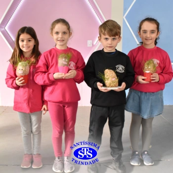 Atividades no 1º ano 
