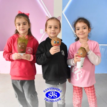Atividades no 1º ano 