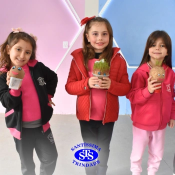 Atividades no 1º ano 