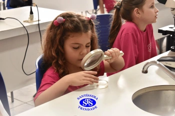 Alunos estudam as plantas e suas estruturas | 1º ano