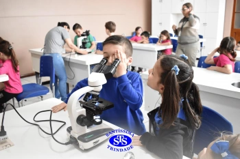 Alunos estudam as plantas e suas estruturas | 1º ano