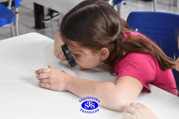 Alunos estudam as plantas e suas estruturas | 1º ano
