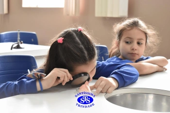 Alunos estudam as plantas e suas estruturas | 1º ano