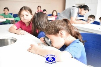 Alunos estudam as plantas e suas estruturas | 1º ano