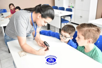 Alunos estudam as plantas e suas estruturas | 1º ano