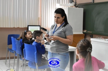 Alunos estudam as plantas e suas estruturas | 1º ano