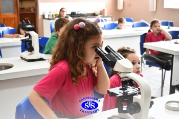 Alunos estudam as plantas e suas estruturas | 1º ano