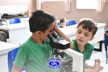 Alunos estudam as plantas e suas estruturas | 1º ano
