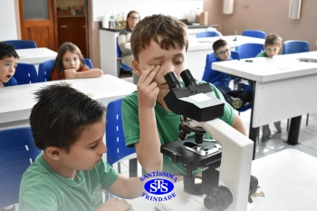 Alunos estudam as plantas e suas estruturas | 1º ano