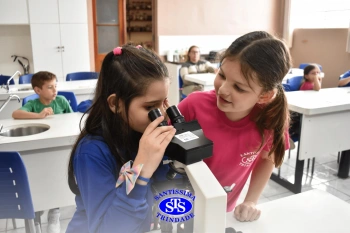 Alunos estudam as plantas e suas estruturas | 1º ano