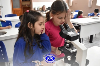 Alunos estudam as plantas e suas estruturas | 1º ano