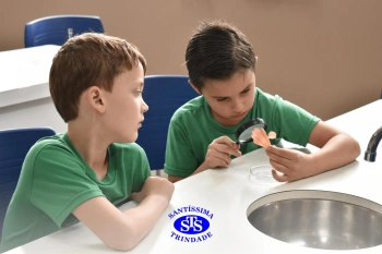 Alunos estudam as plantas e suas estruturas | 1º ano