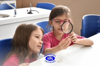 Alunos estudam as plantas e suas estruturas | 1º ano