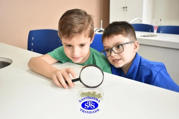 Alunos estudam as plantas e suas estruturas | 1º ano