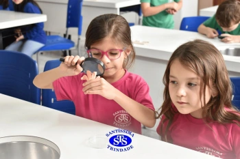 Alunos estudam as plantas e suas estruturas | 1º ano