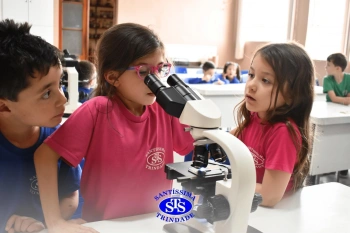 Alunos estudam as plantas e suas estruturas | 1º ano
