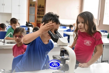 Alunos estudam as plantas e suas estruturas | 1º ano