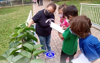 Lembranças de vivências no Santíssima em 2021 | 1º ano