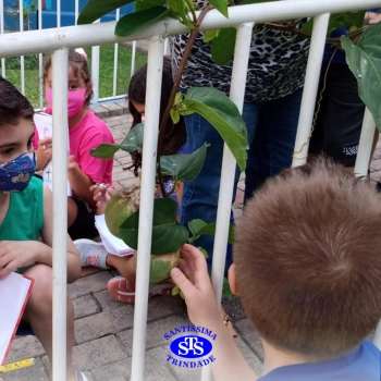  Lembranças de vivências no Santíssima em 2021 | 1º ano 
