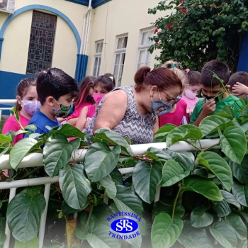  Lembranças de vivências no Santíssima em 2021 | 1º ano 
