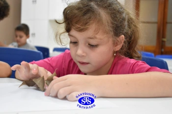 Alunos do 1º ano realizam atividades no Laboratório de Ciências