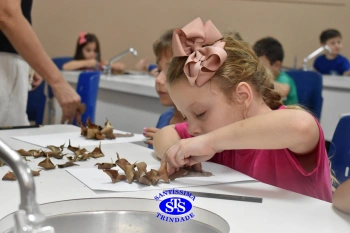 Alunos do 1º ano realizam atividades no Laboratório de Ciências
