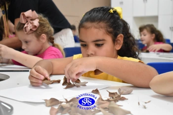Alunos do 1º ano realizam atividades no Laboratório de Ciências