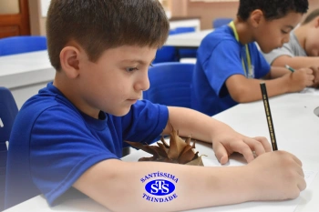 Alunos do 1º ano realizam atividades no Laboratório de Ciências