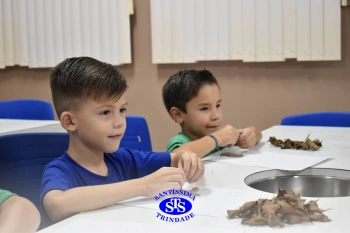 Alunos do 1º ano realizam atividades no Laboratório de Ciências