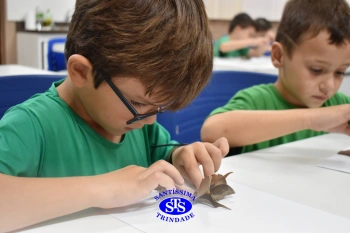 Alunos do 1º ano realizam atividades no Laboratório de Ciências