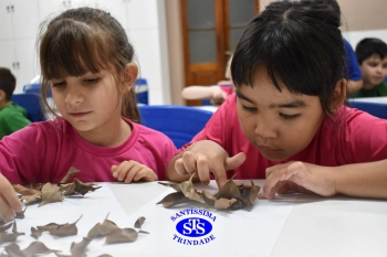 Alunos do 1º ano realizam atividades no Laboratório de Ciências
