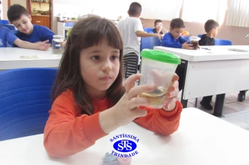 Alunos do 1º ano realizam atividades no Laboratório de Ciências