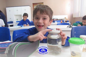 Alunos do 1º ano realizam atividades no Laboratório de Ciências