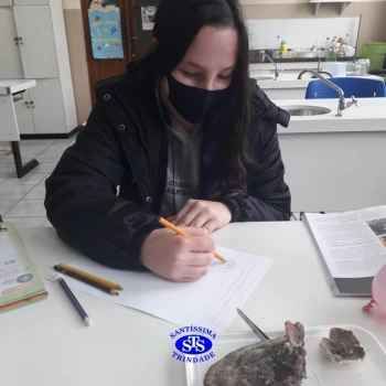 3ª série EM | Prática no Laboratório de Ciências