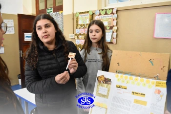 Apresentação de lapbooks sobre a cultura dos países formadares do Brasil | 6º ano