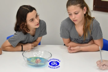 5º ano: doce estudo sobre as células em aula no Espaço Gourmet