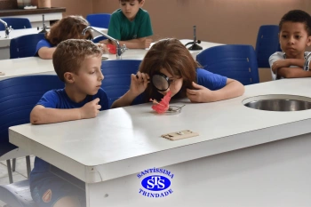 Alunos estudam as estruturas das plantas e das flores | 1º ano