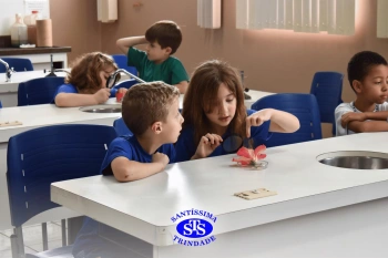 Alunos estudam as estruturas das plantas e das flores | 1º ano