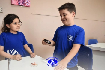 Alunos estudam as estruturas das plantas e das flores | 1º ano