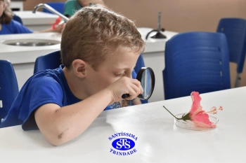 Alunos estudam as estruturas das plantas e das flores | 1º ano
