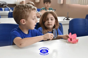 Alunos estudam as estruturas das plantas e das flores | 1º ano