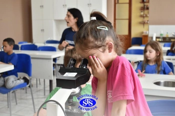 Alunos estudam as estruturas das plantas e das flores | 1º ano