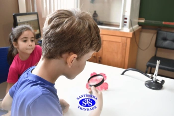 Alunos estudam as estruturas das plantas e das flores | 1º ano