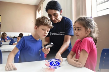 Alunos estudam as estruturas das plantas e das flores | 1º ano