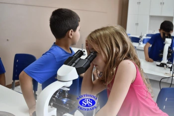 Alunos estudam as estruturas das plantas e das flores | 1º ano