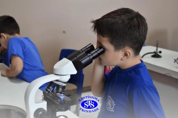 Alunos estudam as estruturas das plantas e das flores | 1º ano