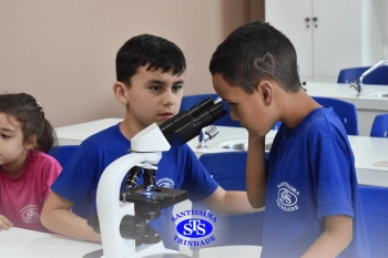 Alunos estudam as estruturas das plantas e das flores | 1º ano